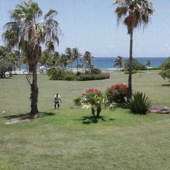 Meet your Posher, Malu - Picture 1 of 1